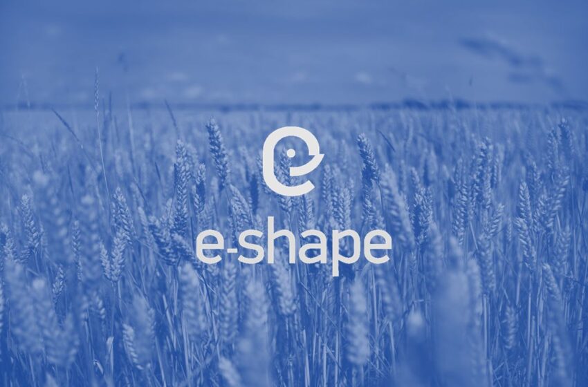 e-shape project logo