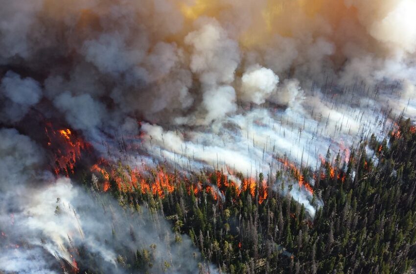  Wildfire Year 2021: Regional Emission Records