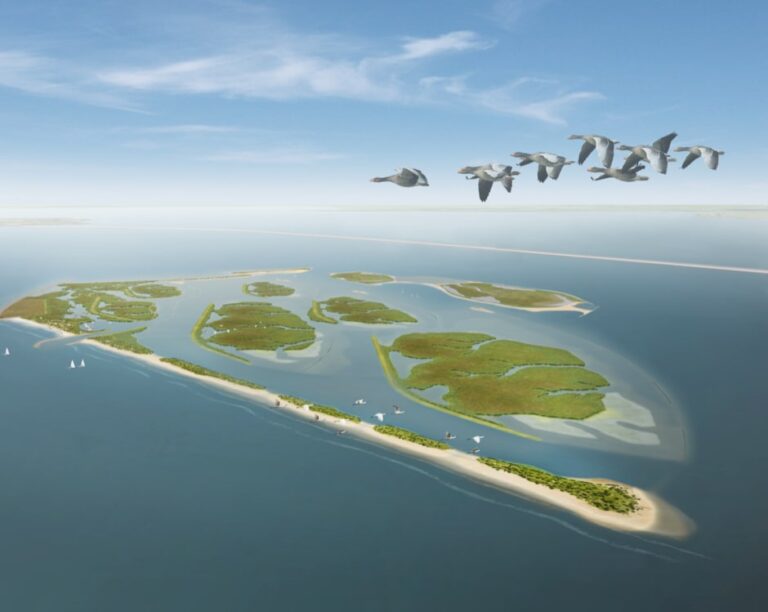 Project Iliad - Ocean Digital Twin - Markerwadden