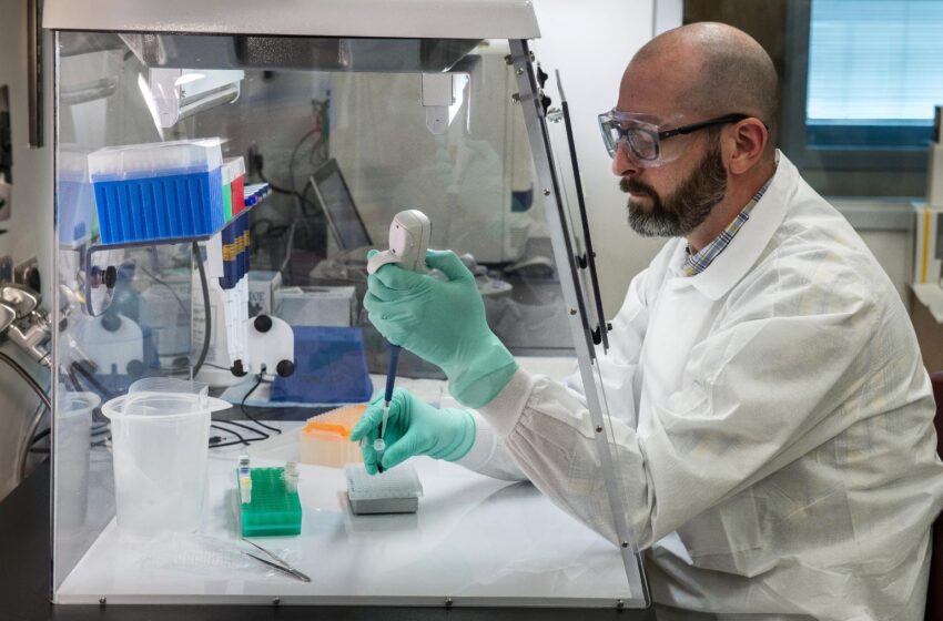 Horizon 2020 in the Netherlands