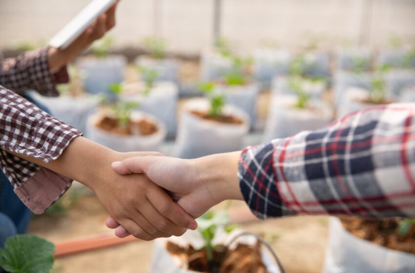  Open Calls Network: Space for A Soil Deal for Europe