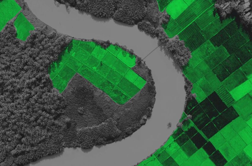  Satellite-driven crop insurance with Agcurate