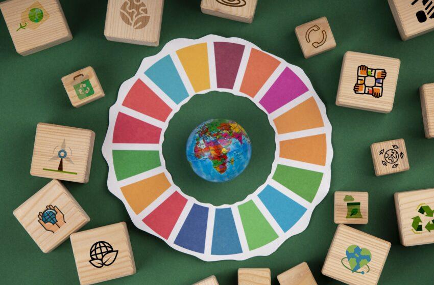  Space for United Nations Sustainable Development Goals
