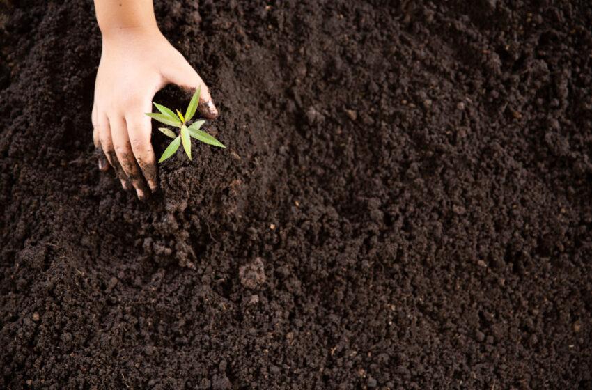  Healthy Soils by 2030: Horizon Europe Funding towards A Soil Deal for Europe