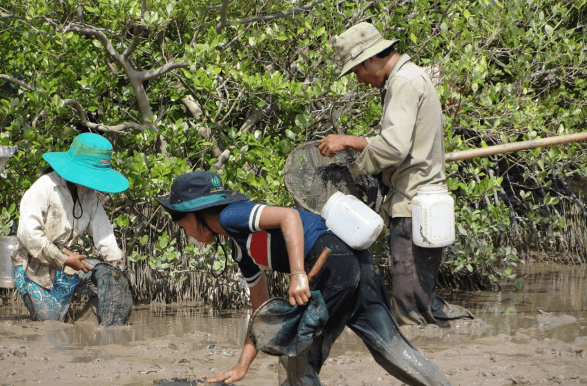  Vietnam and Space Data: Natural Resource Management through Remote Sensing