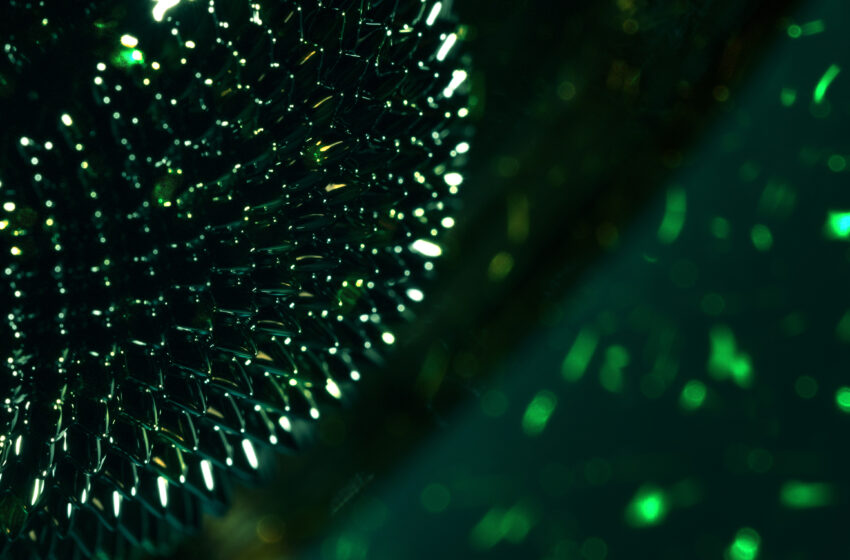  From Pixels to Preservation: How Remote Sensing Advances Biodiversity Research