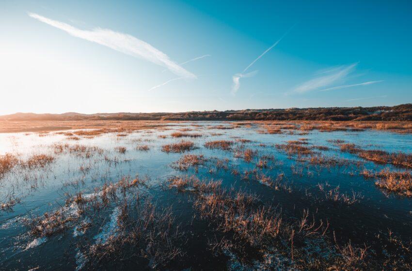  Shaping the Future of Peatland Conservation: Take part in ESA WorldPeatland Project Questionnaire