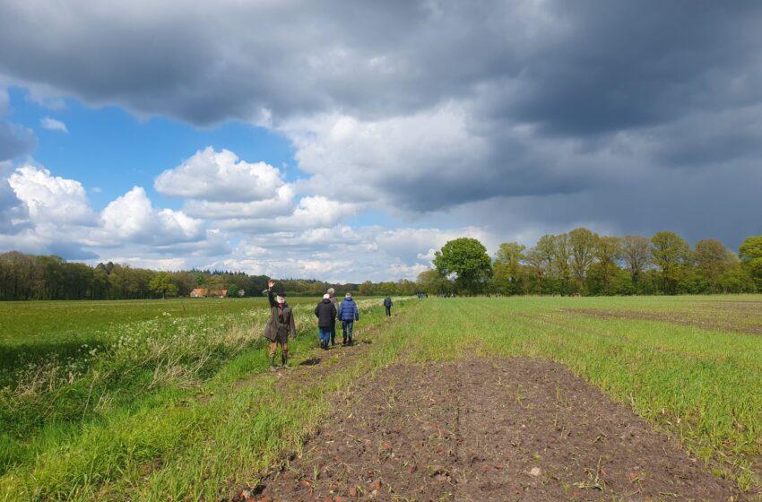 Biodiversity Regeneration: Bodemzicht’s Story Told by Space Data