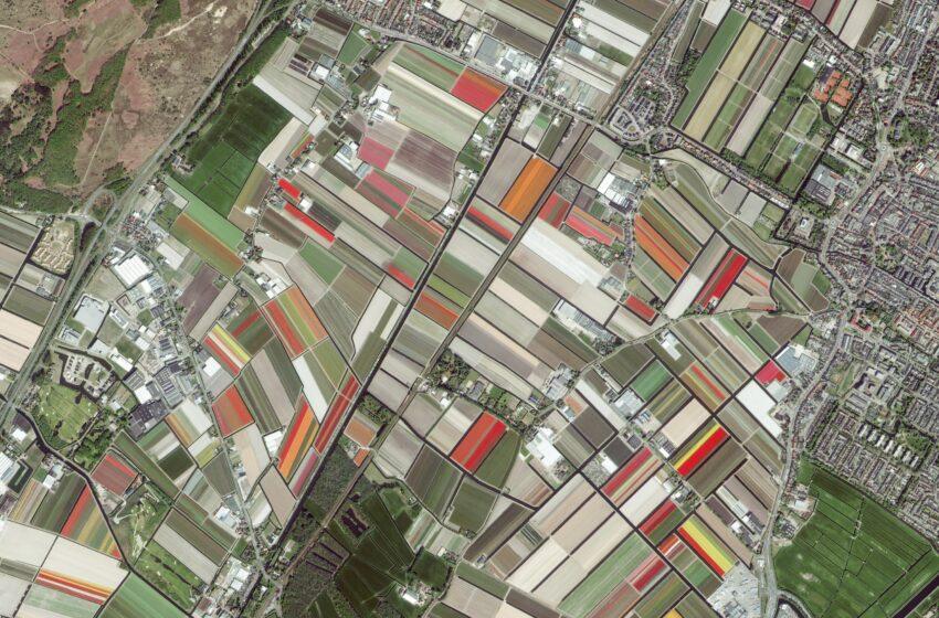  A Blossoming Future for Floriculture: High Precision Agriculture Solutions Using Space Technology 